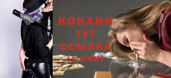 apvp Нея