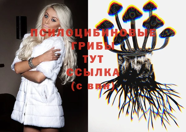 apvp Нея